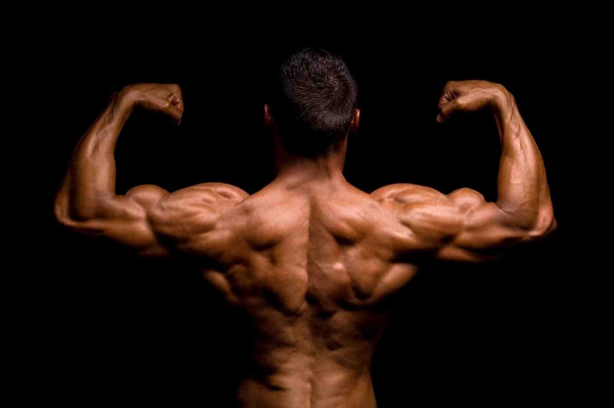 Atleta durante un allenamento con i pesi in palestra per aumentare la massa muscolare